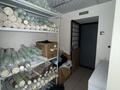 Еркін · 100 м², бағасы: 3 млн ₸ в Алматы, Алмалинский р-н — фото 20
