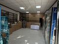 Нет · 100 м² за 11 млн ₸ в Шымкенте, Каратауский р-н — фото 3