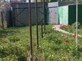Дача · 3 комнаты · 80 м² · 10 сот., ДП Колос 183 за 4 млн ₸ в Усть-Каменогорске, Ульбинский — фото 7