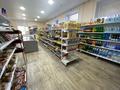 Магазины и бутики • 172.9 м² за 40 млн 〒 в Рудном — фото 5