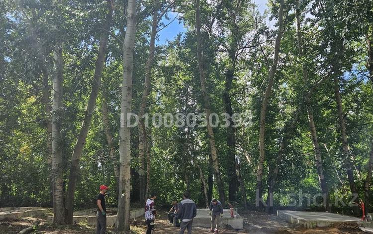 Участок · 90 соток, Жагалау 32 — Оз. Жалтырколь за 125 млн ₸ — фото 21