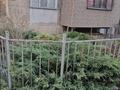 3-бөлмелі пәтер · 69.5 м² · 1/5 қабат, Алтай-2 ш/а. — возле школы-гимнпзии №78, бағасы: 39 млн ₸ в Алматы, Турксибский р-н — фото 9