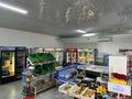 Магазин · 300 м², бағасы: 170 млн ₸ в Жибек Жолы — фото 6