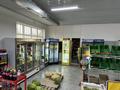 Магазин · 300 м², бағасы: 170 млн ₸ в Жибек Жолы — фото 9