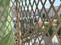 2-комнатная квартира · 45 м² · 7/9 этаж, Бухар Жырау 30/1 — Мангилик ел. Бухар Жырау за 280 000 ₸ в Астане, Есильский р-н — фото 5