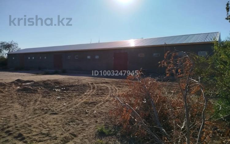 Промбаза · 1 га, Ст. Балхаш-1 51Г — Станция Балхаш-1 за 145 млн 〒 — фото 19