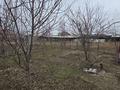 Отдельный дом · 4 комнаты · 100 м² · 50 сот., Шубарсу за 28 млн ₸ в Шымкенте — фото 6