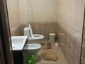 Отдельный дом · 7 комнат · 391 м² · 8 сот., мкр Самал-1, Куршим 11 за 128 млн ₸ в Шымкенте, Абайский р-н — фото 12