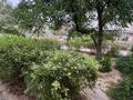 2-бөлмелі пәтер · 60 м² · 4/5 қабат, 7-ш/а. 28, бағасы: 13 000 ₸ в Актау, 7-й мкр — фото 17
