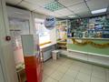 Магазины и бутики · 40.8 м² за 50 млн ₸ в Усть-Каменогорске — фото 8