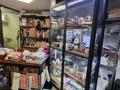 Магазины и бутики · 50 м² за 450 000 ₸ в Астане, р-н Байконур — фото 11