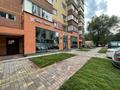 Свободное назначение • 100 м² за 600 000 〒 в Алматы, Алмалинский р-н — фото 2
