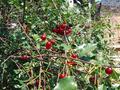 Үйдің бір бөлігі · 5 бөлме · 89.9 м² · 8 сот., мкр Михайловка , Ул.Планетная — Бадина, бағасы: 20 млн ₸ в Караганде, Казыбек би р-н — фото 18