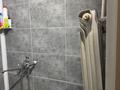 2-бөлмелі пәтер · 56 м² · 1/5 қабат, 4а квартал 12, бағасы: 10 млн ₸ в Темиртау — фото 13