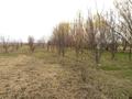 Сельское хозяйство • 250 м² за ~ 100 млн 〒 в Алматинской обл. — фото 12