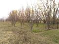 Сельское хозяйство • 250 м² за ~ 100 млн 〒 в Алматинской обл. — фото 9