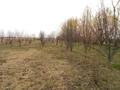 Сельское хозяйство • 250 м² за ~ 100 млн 〒 в Алматинской обл. — фото 10