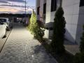 2-бөлмелі пәтер · 55 м² · 3/5 қабат, Халиуллина 168 168 — Рядом Магнум на Кульджинке, бағасы: 250 000 ₸ в Алматы, Медеуский р-н — фото 3