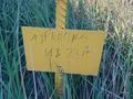 Участок · 8 соток, АЗФ КВЦ 11 23А — По ул. 312 стр. дивизии за 1.3 млн ₸ в Актобе