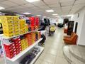 Магазины и бутики • 660 м² за 299 млн 〒 в Семее — фото 8