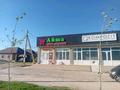 Участок · 7.5 соток, мкр Ынтымак-2 — Аль-Фараби трассаға жақын 150 метр за 13 млн ₸ в Шымкенте, Абайский р-н — фото 7