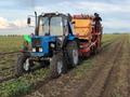 Өнеркәсіптік база · 200 га, Чернорецкое 1 — Вдоль трассы, бағасы: 50 млн ₸ в Павлодаре — фото 4