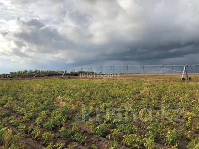 Өнеркәсіптік база · 200 га, Чернорецкое 1 — Вдоль трассы, бағасы: 50 млн ₸ в Павлодаре