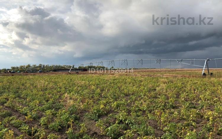 Өнеркәсіптік база · 200 га, Чернорецкое 1 — Вдоль трассы, бағасы: 50 млн ₸ в Павлодаре — фото 9