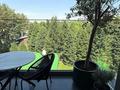 5-комнатная квартира · 250 м² · 3/3 этаж, Тайманова 224Б за 630 млн ₸ в Алматы, Медеуский р-н — фото 12