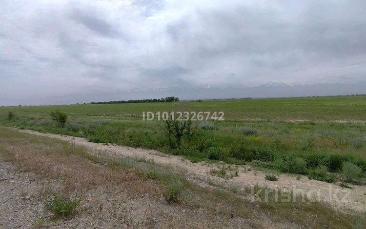 Жер телімі · 29 га, Төңкеріс, бағасы: 305 млн ₸ в Тонкерисе — фото 3