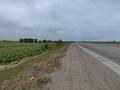 Жер телімі · 29 га, Төңкеріс, бағасы: 305 млн ₸ в Тонкерисе — фото 6