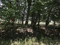 Жер телімі · 6 сотық, Орталык — Орталык, бағасы: 2.6 млн ₸ в Кольди — фото 6