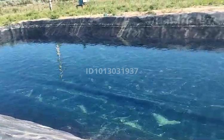 Жер телімі · 15 га, Қорам, бағасы: 95 млн ₸ в  — фото 2