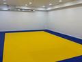 Фитнес и спорт, образование · 85 м² за 80 000 ₸ в Астане, Есильский р-н — фото 2