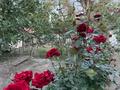 Отдельный дом · 6 комнат · 294 м² · 7 сот., Алгыс 5 за 120 млн ₸ в Алматы, Медеуский р-н — фото 29