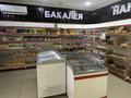 Магазины и бутики · 134 м² за 65 млн ₸ в Уральске, мкр. Зачаганск пгт — фото 3