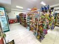 Действующий магазин · 160 м² за 25 млн ₸ в Астане, Нура р-н — фото 12