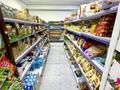 Действующий магазин · 160 м² за 25 млн ₸ в Астане, Нура р-н — фото 13