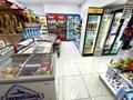 Действующий магазин · 160 м² за 25 млн ₸ в Астане, Нура р-н — фото 20