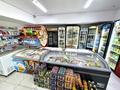 Действующий магазин · 160 м² за 25 млн ₸ в Астане, Нура р-н — фото 23