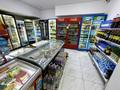 Действующий магазин · 160 м² за 25 млн ₸ в Астане, Нура р-н — фото 28