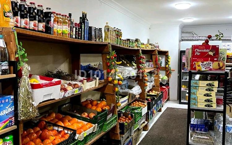 Действующий овощной магазин · 55 м², бағасы: 3.5 млн ₸ в Астане, Нура р-н — фото 2