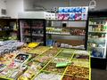 Действующий овощной магазин · 55 м², бағасы: 3.5 млн ₸ в Астане, Нура р-н — фото 6