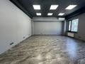 Свободное назначение, офисы, магазины и бутики · 55 м² за 550 000 ₸ в Алматы, Медеуский р-н — фото 9
