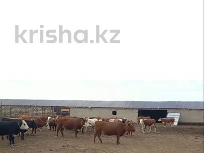 Участок · 2500 га, Жезказган за 31 млн 〒