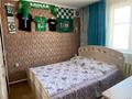 Отдельный дом · 4 комнаты · 100 м² · 12 сот., Овражная 9 за 16.5 млн ₸ в Семее — фото 6