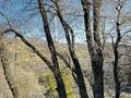 6-комнатная квартира · 450 м², Керей-Жәнібек хандар 29 — Сатпаева луганского за 1.5 млн ₸ в Алматы, Медеуский р-н — фото 60