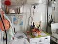 1-комнатная квартира · 30 м² · 2/5 этаж, Кунаева 42 за 6.5 млн ₸ в Кентау — фото 4