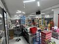 Магазины и бутики, медцентры и аптеки · 674 м² за 170 млн ₸ в Кентау — фото 3