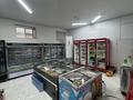 Магазины и бутики, медцентры и аптеки · 674 м² за 170 млн ₸ в Кентау — фото 4
